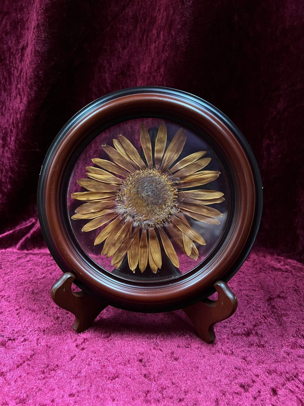 Vintage Home Decor Pressed Sunflower Wall Art - Real Flower Round Wood Frame